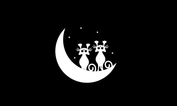 Cat Design for T Shirt