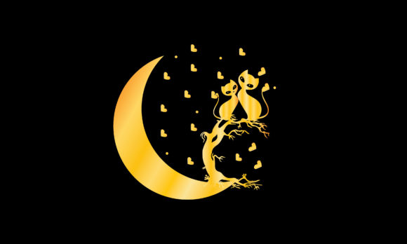 Cat Design on Moon
